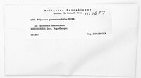 Image Associated With the Occurrence